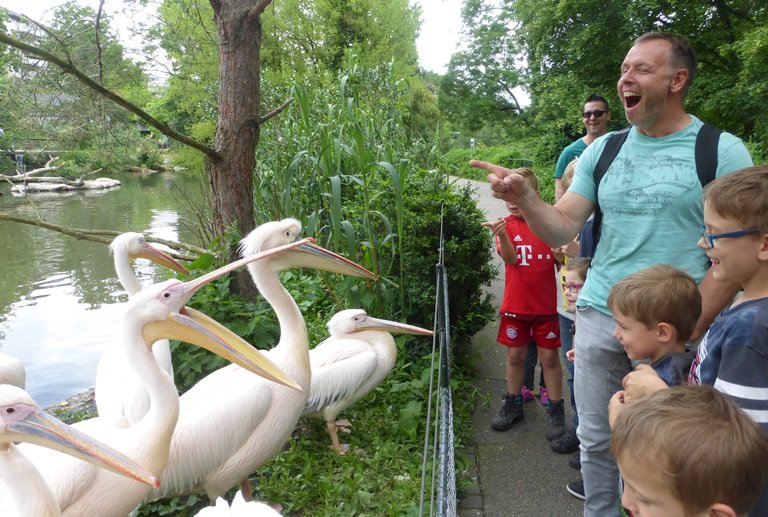 Narresume-Ausflug Basler Zoo